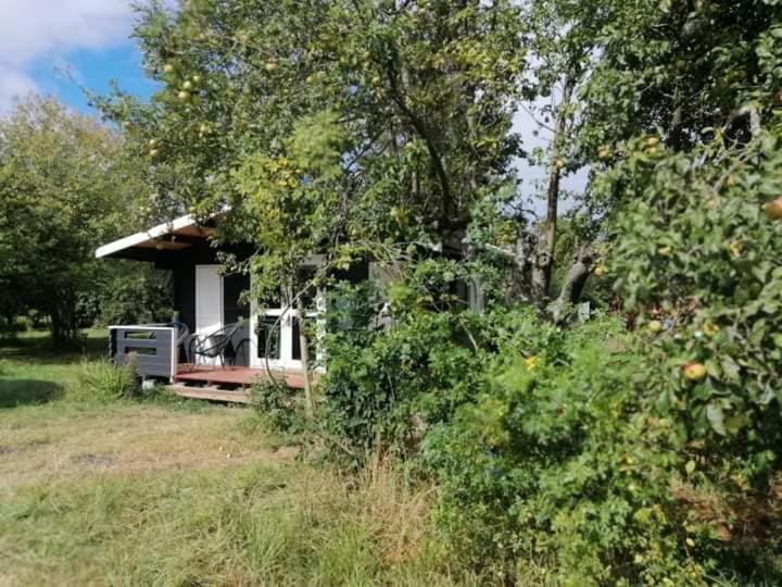 Kiszkowianka Domki Skrzeszewo  Екстериор снимка